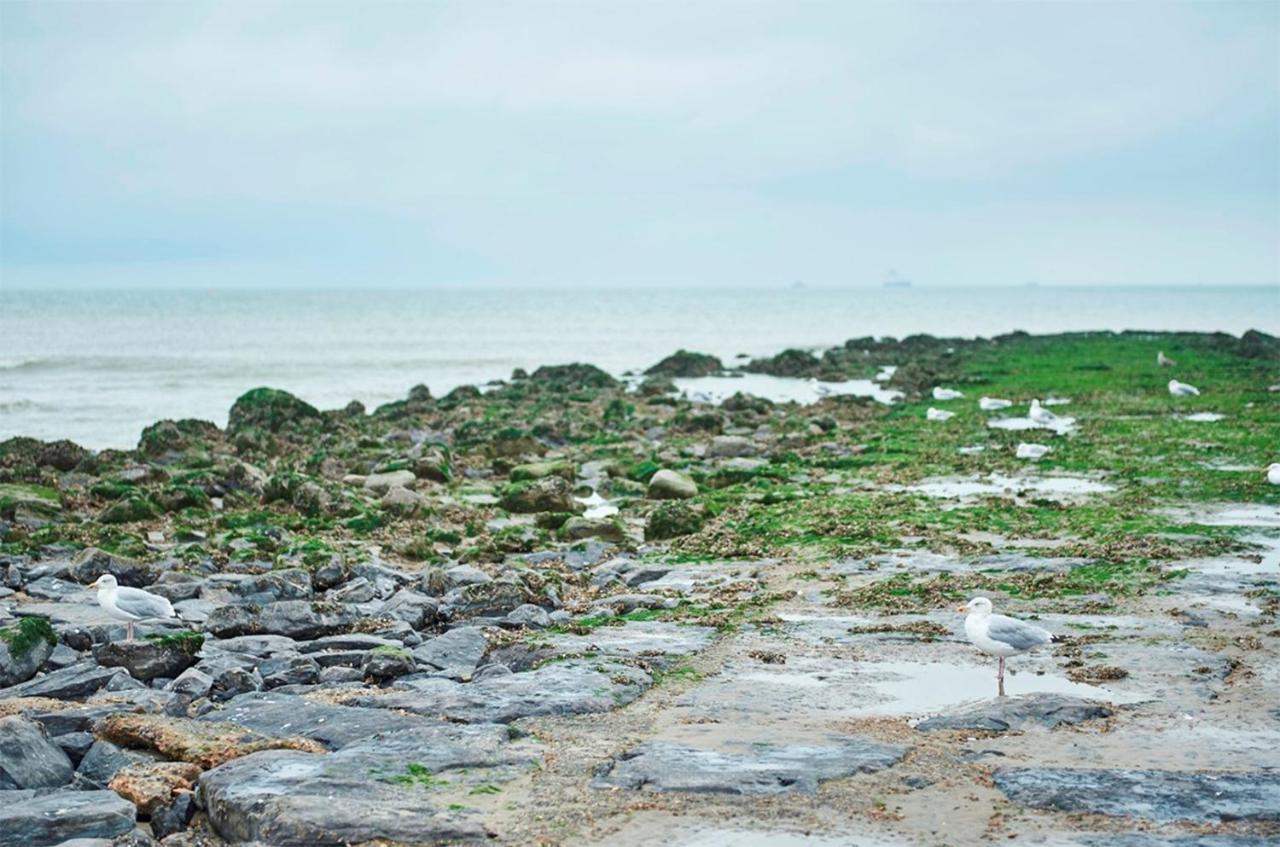 Beach View Five Blankenberge Dış mekan fotoğraf